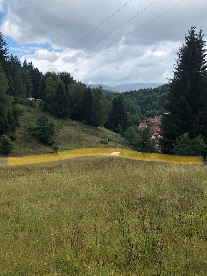 Wiesengrundstück in St. Kilian