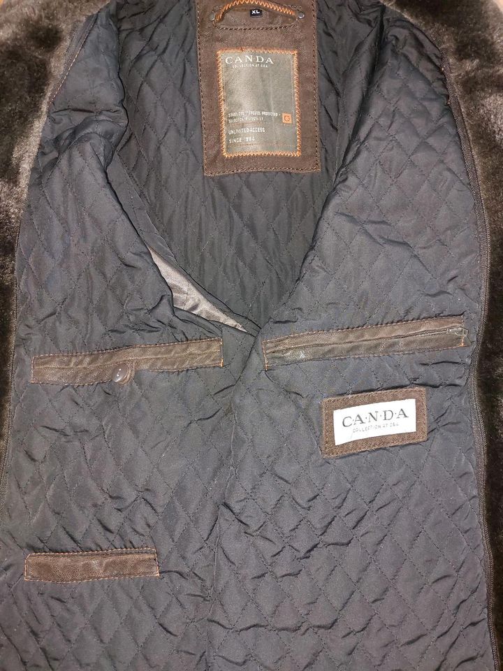 Herren Lederjacke XL in Horn-Bad Meinberg