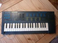 Keyboard - Orgel Bontempi BT 704/S - guter gebrauchter Zustand Hessen - Rödermark Vorschau