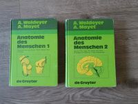 Waldeyer Mayet Anatomie des Menschen Bände 1 + 2 / 16. Auflage Friedrichshain-Kreuzberg - Friedrichshain Vorschau