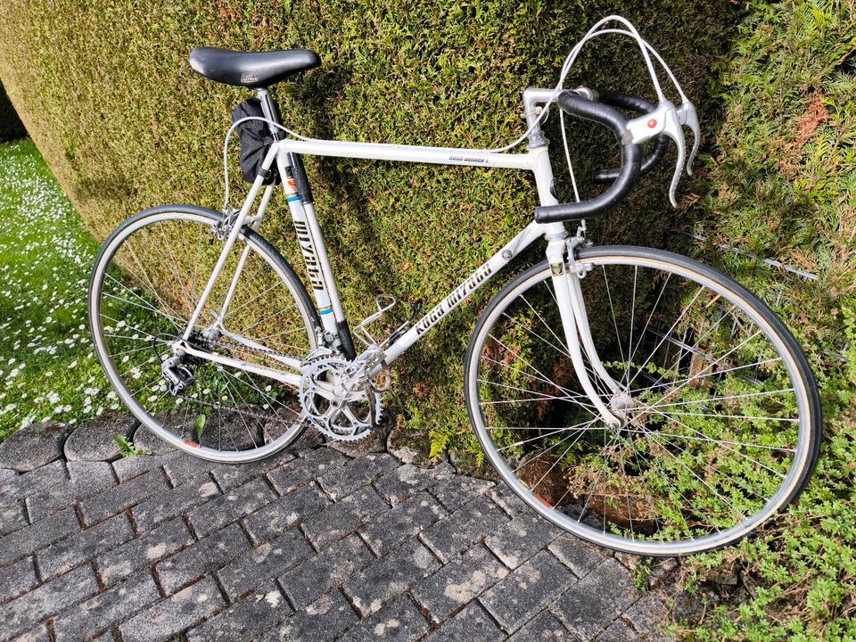 Koga Miyata Vintage 1980 Top-Zustand in Bad Vilbel