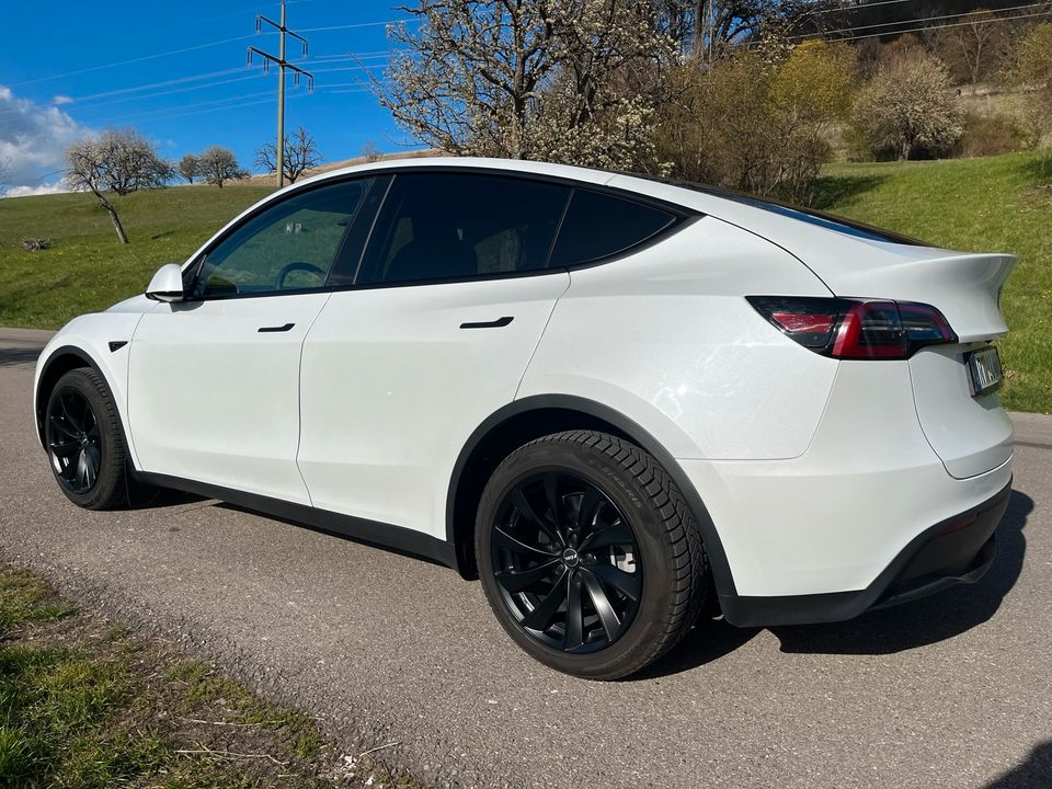 Tesla Model Y LR Dual Motor AWD (deut. Produktion) in Reutlingen