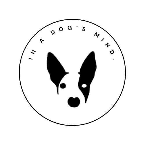 Suche Hundetrainer/in für Betreuung in München