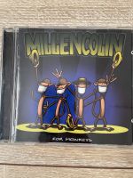 CD Millencolin Saarland - Wallerfangen Vorschau