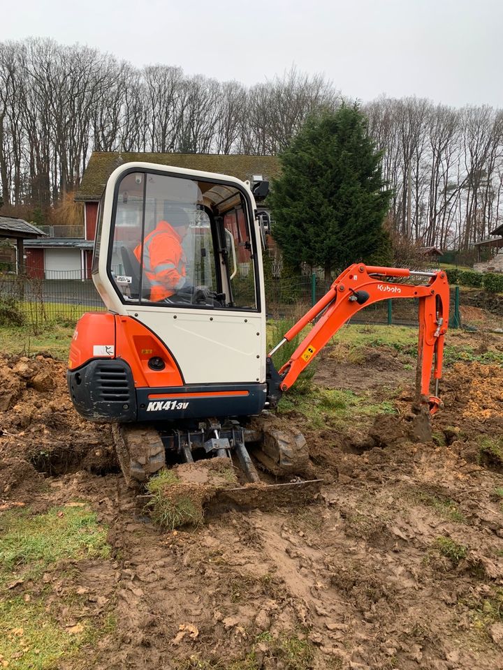 Kubota KX 41-3V 1.8 To. Minibagger Vermietung, Miete ab 65€ in Puderbach