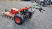 Agria Taifun 5900 Motormäher Motormulcher Böschungsmulcher Kreiselegge Fräse Mulcher  Böschungsmäher Mulchmäher Reform Rheinland-Pfalz - Selters Vorschau