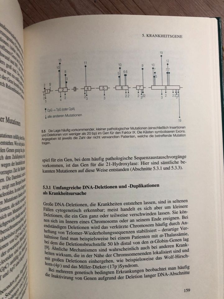 T.Strachan Das menschliche Genom Spektrum gebundenes Buch in Köln