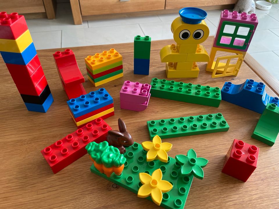 Lego Duplo Sondersteine Hase Möhren Blumen 45 Stück in Bergheim