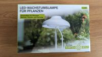 LED Wachstumslampe Lampe für Pflanzen 2 Stück Nordrhein-Westfalen - Gelsenkirchen Vorschau