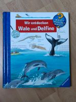 Wieso? Weshalb? Warum? Wir entdecken Wale und Delfine Niedersachsen - Osnabrück Vorschau