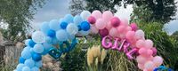 Boy or Girl Ballons das Schriftzug blau und rosa Nordrhein-Westfalen - Harsewinkel Vorschau
