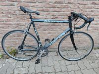 Gepida Bandon 1000 Rennrad RH63 Niedersachsen - Salzgitter Vorschau