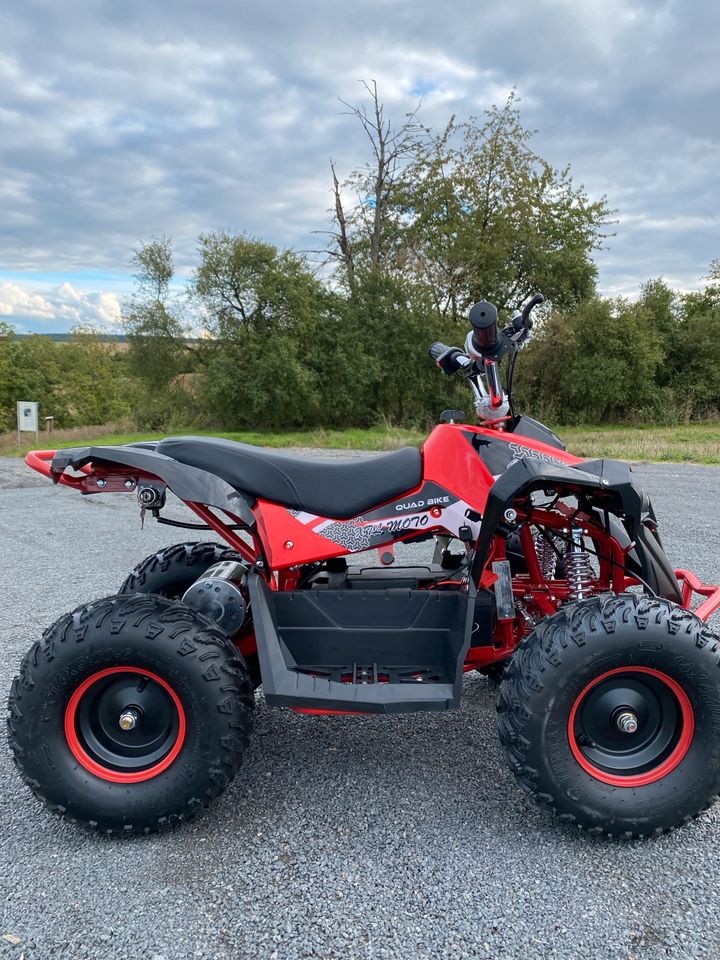 Pocket Bike Quad 1000 Watt NEU Elektro Kinderquad Mini ATV 2024 in Haibach Unterfr.