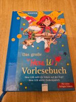 Kinderbuch "Das große Hexe Lilli Vorlesebuch" Sachsen-Anhalt - Wernigerode Vorschau