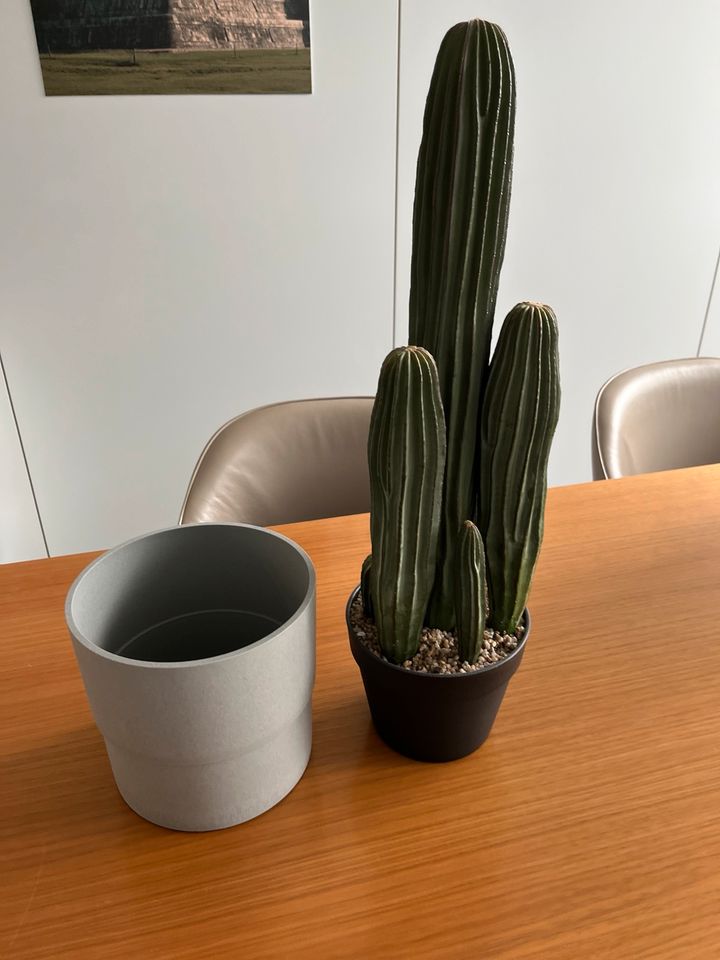 Kunstpflanze Kaktus ca. 50cm inkl. Übertopf Ikea in Köln