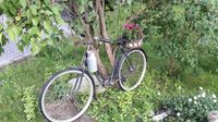 Fahrrad Dekoration Blumendeko Garten Bayern - Irschenberg Vorschau