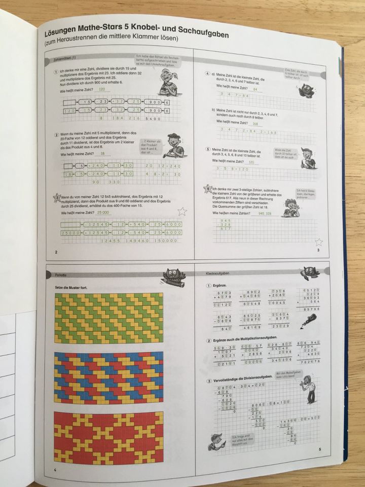 Mathe Star 5 NEU Oldenbourg Knobel & Sachaufgaben + Lösungsteil in Oldenburg