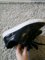 Puma Basket Sneaker Nordrhein-Westfalen - Lügde Vorschau