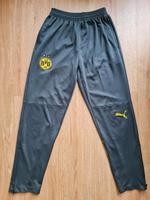 Borussia Dortmund BVB Hose Sport Puma Größe S Berlin - Marienfelde Vorschau