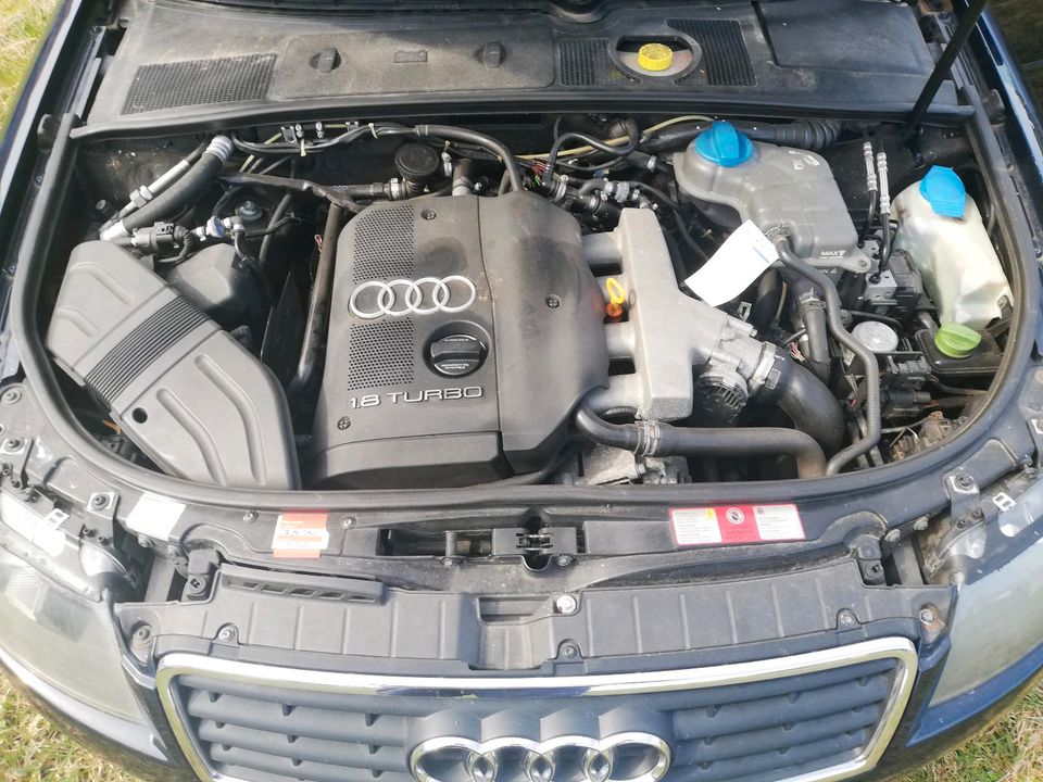 Audi Cabrio in Moringen