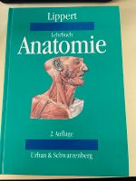 Anatomie Lehrbuch Lippert Bayern - Opfenbach Vorschau