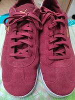 Herren Schuhe Puma 48 Neu Bayern - Landshut Vorschau