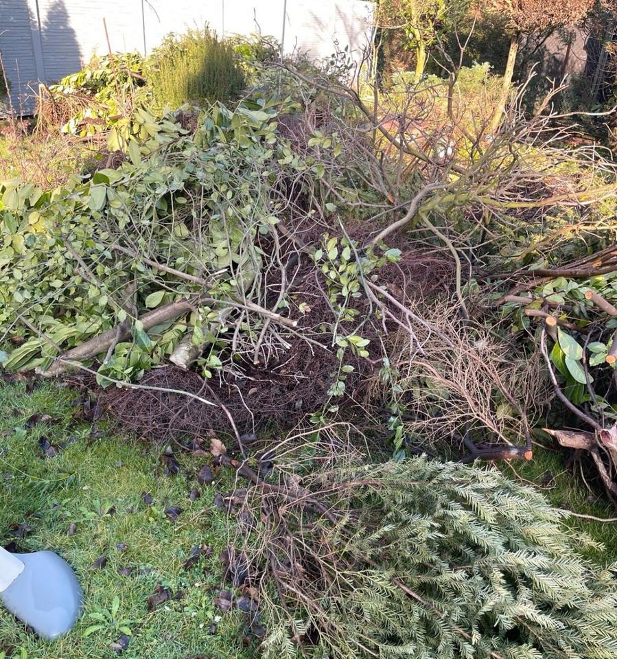 Wir entsorgen Grünschnitt, Gartenabfall, Steine, Holz, Sperrmüll in Wuppertal