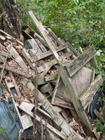 Brennholz zu verschenken Rheinland-Pfalz - Bingen Vorschau