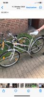 Fahrrad zu Verkaufen Nordrhein-Westfalen - Oberhausen Vorschau