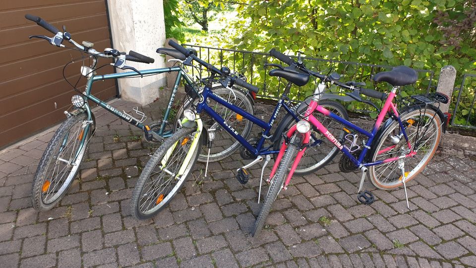 Herren- Damen -Fahrrad in Petersberg