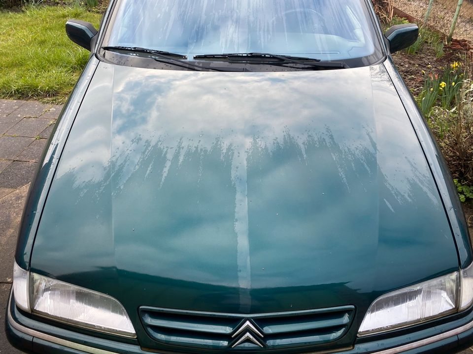 Citroën Xantia Kombi Metallic Grün in Lübeck