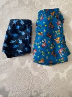 2x Schwimmhose PAW Patrol   104/110 beide 4€ Dortmund - Innenstadt-West Vorschau