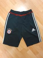 ADIDAS climacool Hose FC Bayern München Größe S Leipzig - Engelsdorf Vorschau