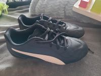 Puma Fussballschuhe Gr. 34 Junior Kinder Fußball Hessen - Maintal Vorschau