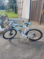 Focus Fahrrad 26 Zoll Sachsen-Anhalt - Haldensleben Vorschau