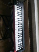 Nektar Se49 Midi Keyboard für Bastler USB Dresden - Prohlis-Nord Vorschau