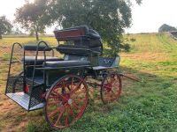 Marathonwagen Kutsche Wagonette Baden-Württemberg - Aulendorf Vorschau