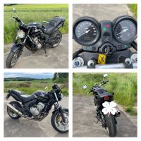 Motorrad Honda CBF 600 naked mit ABS Hessen - Ebsdorfergrund Vorschau