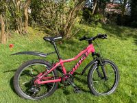 Ghost Mountainbike 20“ Zoll -pink Hamburg-Nord - Hamburg Alsterdorf  Vorschau