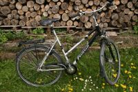 Kalkhoff Fahrrad Damen/Unisex, L, mit Rücktritt, neuwertig Bayern - Rödental Vorschau