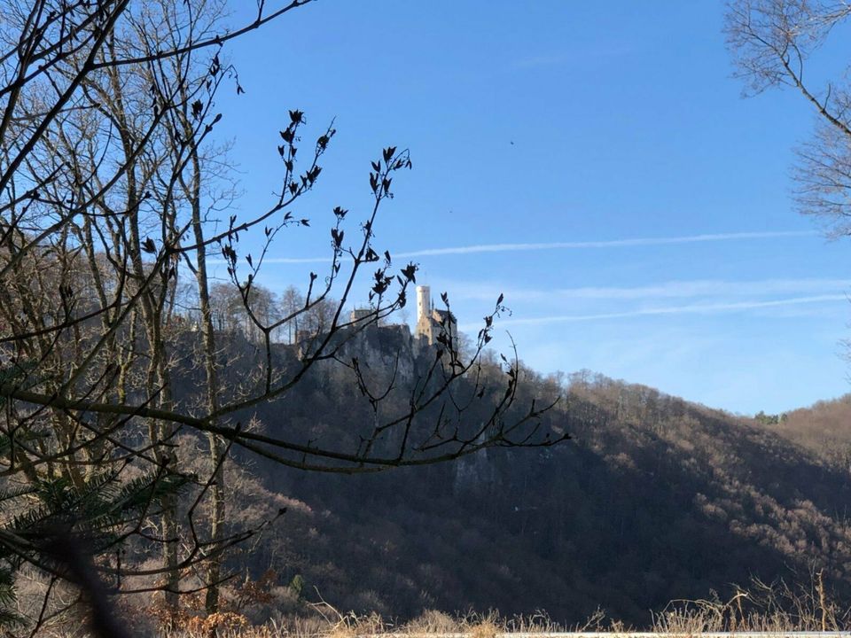 Zwei-Familienhaus in traumhafter Lage in Lichtenstein