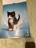 Yoga Katzenkalender zum Basteln etc. Leipzig - Leipzig, Zentrum-Ost Vorschau