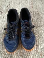 ASICS Sportschuhe, Hallenschuhe, Indoor Gr.37,5 Schleswig-Holstein - Tastrup Vorschau