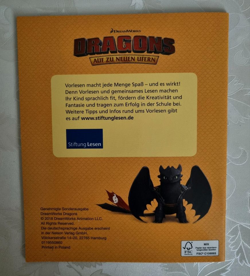 Neuwertig❗️4 Maxi - Pixi - Bücher, Dragons, Maxibücher, Drachen in Wartenberg