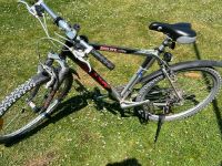 Fahrrad 26 Zoll Essen-West - Frohnhausen Vorschau