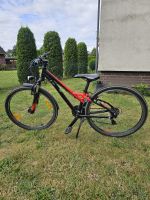 Fahrrad Bulls Sharptail Street 26 Zoll Niedersachsen - Gifhorn Vorschau