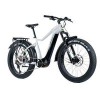 Leaderfox Ebike Brasa E-Fatbike Bayern - Mengkofen Vorschau