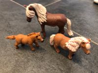 Schleich Ponys Shetty Fohlen Isländer Pferde Nordrhein-Westfalen - Schleiden Vorschau