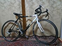 Rennrad der Marke Torrek Modell RR Roadrace. 28zoll, RH 57cm Wandsbek - Hamburg Tonndorf Vorschau