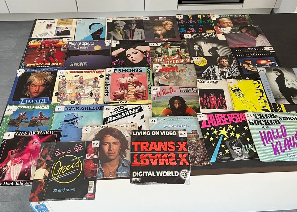 Schallplatten Sammlung / Hits der 80er in Dortmund